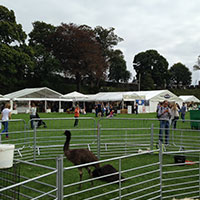 Marquee hire for country shows and corporate events
